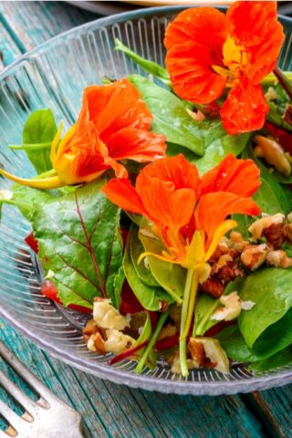 Build-a-Salad