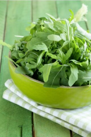 Salad Greens + Light Protein